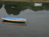 Barque