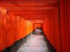 Fushimi Inari